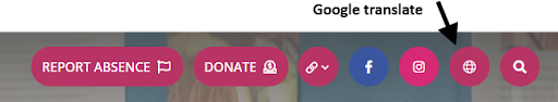 Google Translate on web navigation